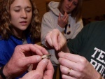 Tom Turpin tethering a moth to a thread.