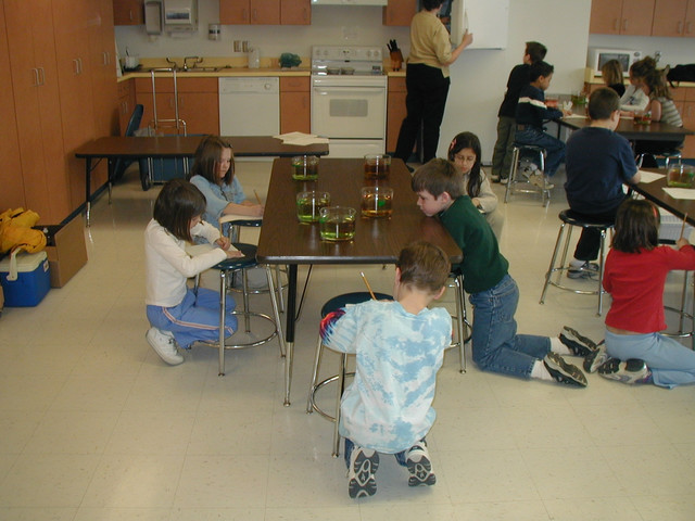 Sycamore School
Scientists make good observations
