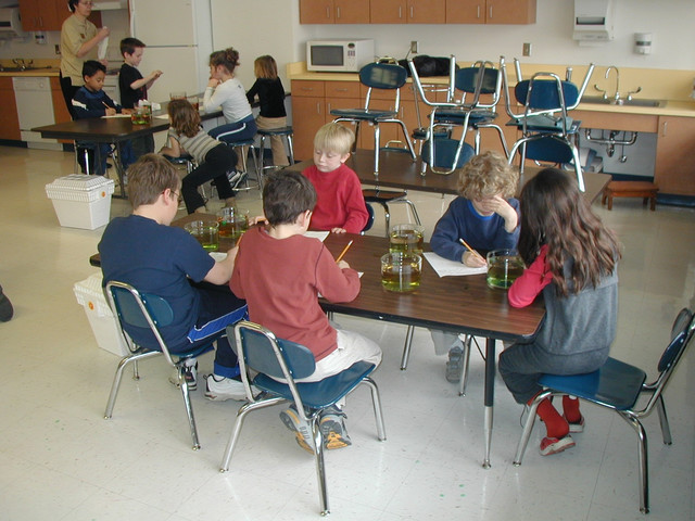 Sycamore School
Scientists compare notes