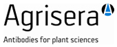 Agrisera: Antibodies for Research