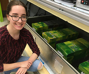 A Purdue undergraduate student with our NaI(TI)-scintillator setup. The radioactive components are shielded with lead brick, here painted green and yellow.