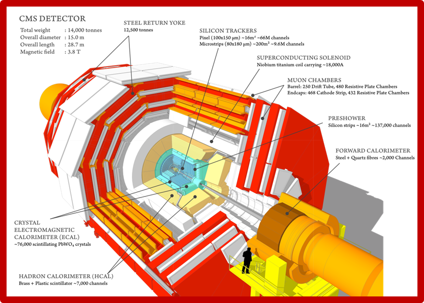 What It's Like Inside the Relativistic Heavy Ion Collider