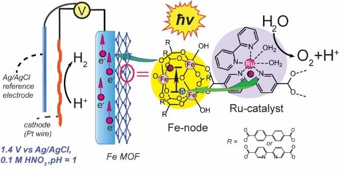 Above is the proposed mechanism of the light-induced function of the Ru-doped Fe-based Metal Organic Framework photoanode.