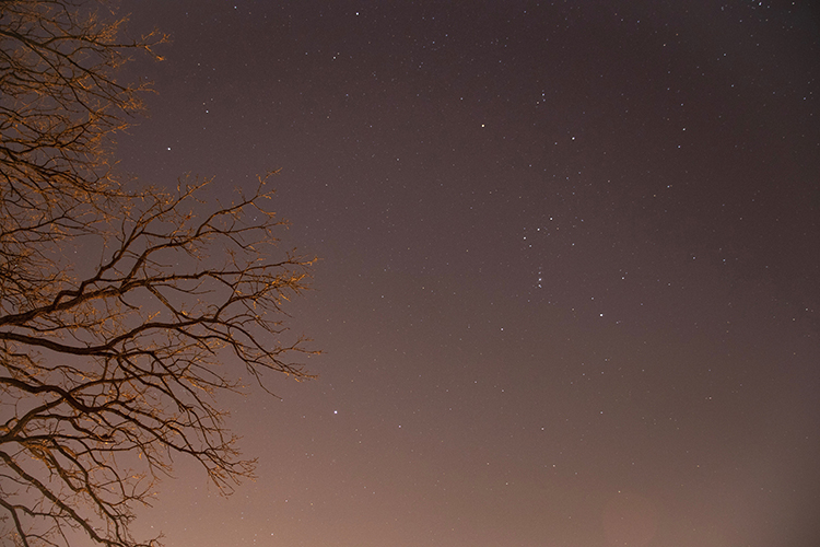 Ethan Pinarski enjoys his astrophysics with a side of nightscape photography (using the night sky as a backdrop to a nearby subject). Above is a photo he took on Purdue’s West Lafayette campus. Below is a photo he took of the Orion Nebula which he was able to take with his phone. Photos provided by Ethan Pinarski.