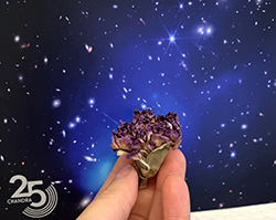 Amelia Binau kept a memento from one of the stargazing events of the Purdue Astronomy Club. Starstruck participants of the event gave her this flower which reminds her of her goals as a scientist. Photo provided by Amelia Binau.