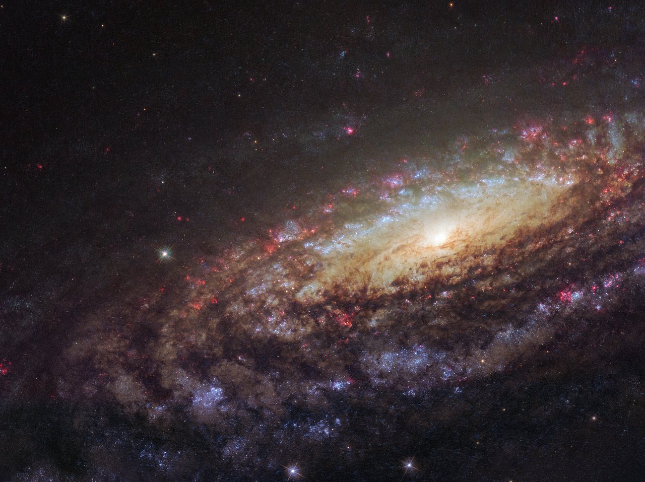 sn2014C_ngc7331.jpg