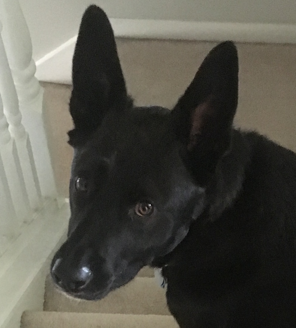 Tyson