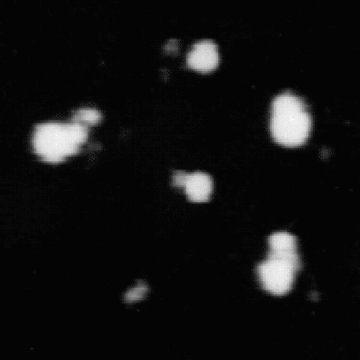figure32