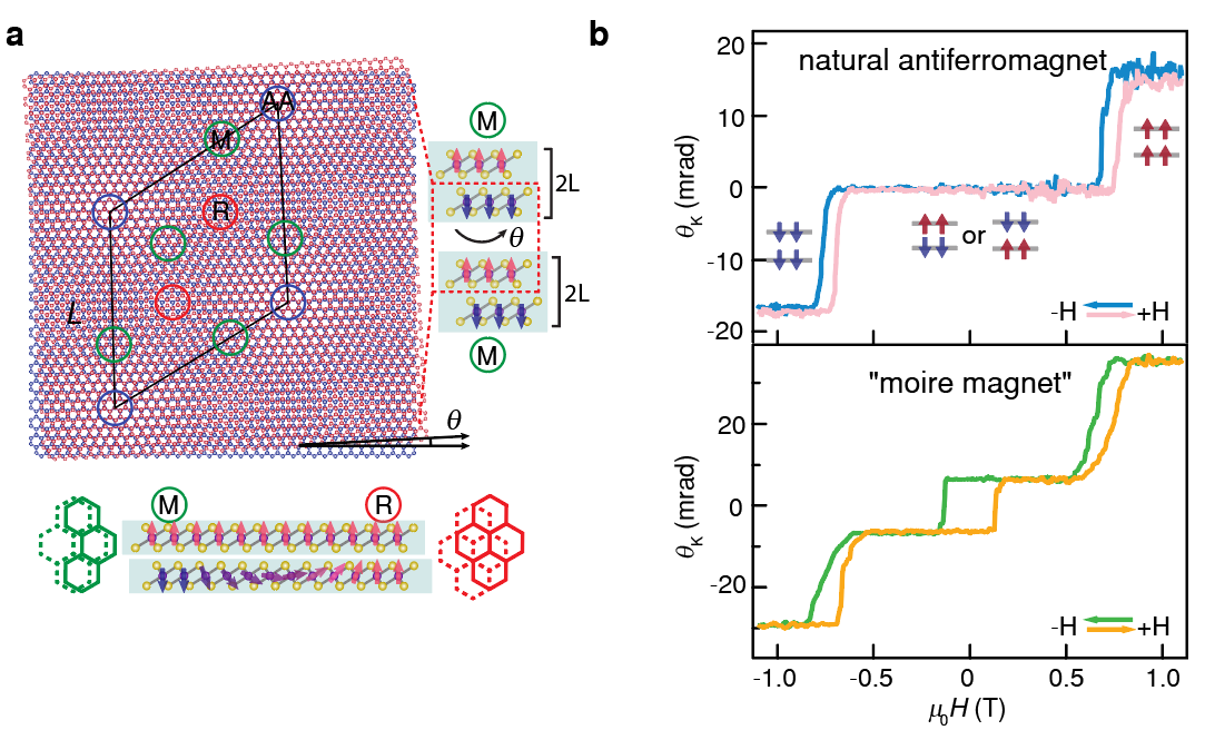 moiresuperlattice.png