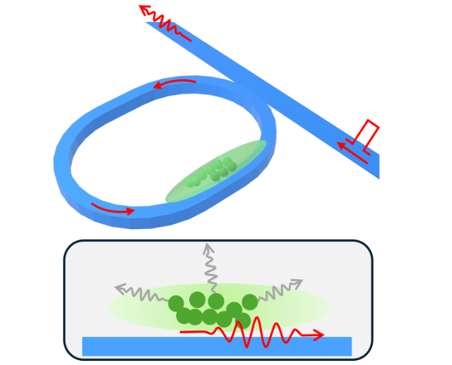 Atoms collectively emit photons to build an enhanced atom-light interface