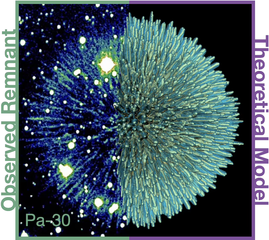High-resolution image of Pa 30 on the left.  Miranda’s 3D computer model representation of Pa 30 on the right. 