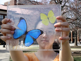 Outreach Goes Nano at Spring Fest