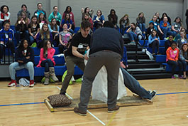 Bed of nails experiment