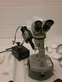 Microscope