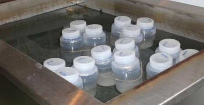 The bottles in the ultrasonic tank.