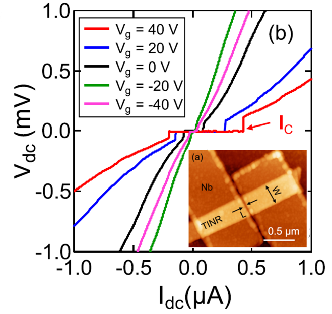 Gate-tunable supercurrent and multiple Andreev reflections in a superconductor-topological insulator nanoribbon-superconductor hybrid device